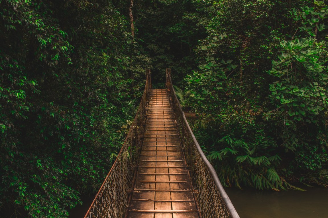 ronaldo-de-oliveira-zAkISnvAHRo-unsplash (FILEminimizer)